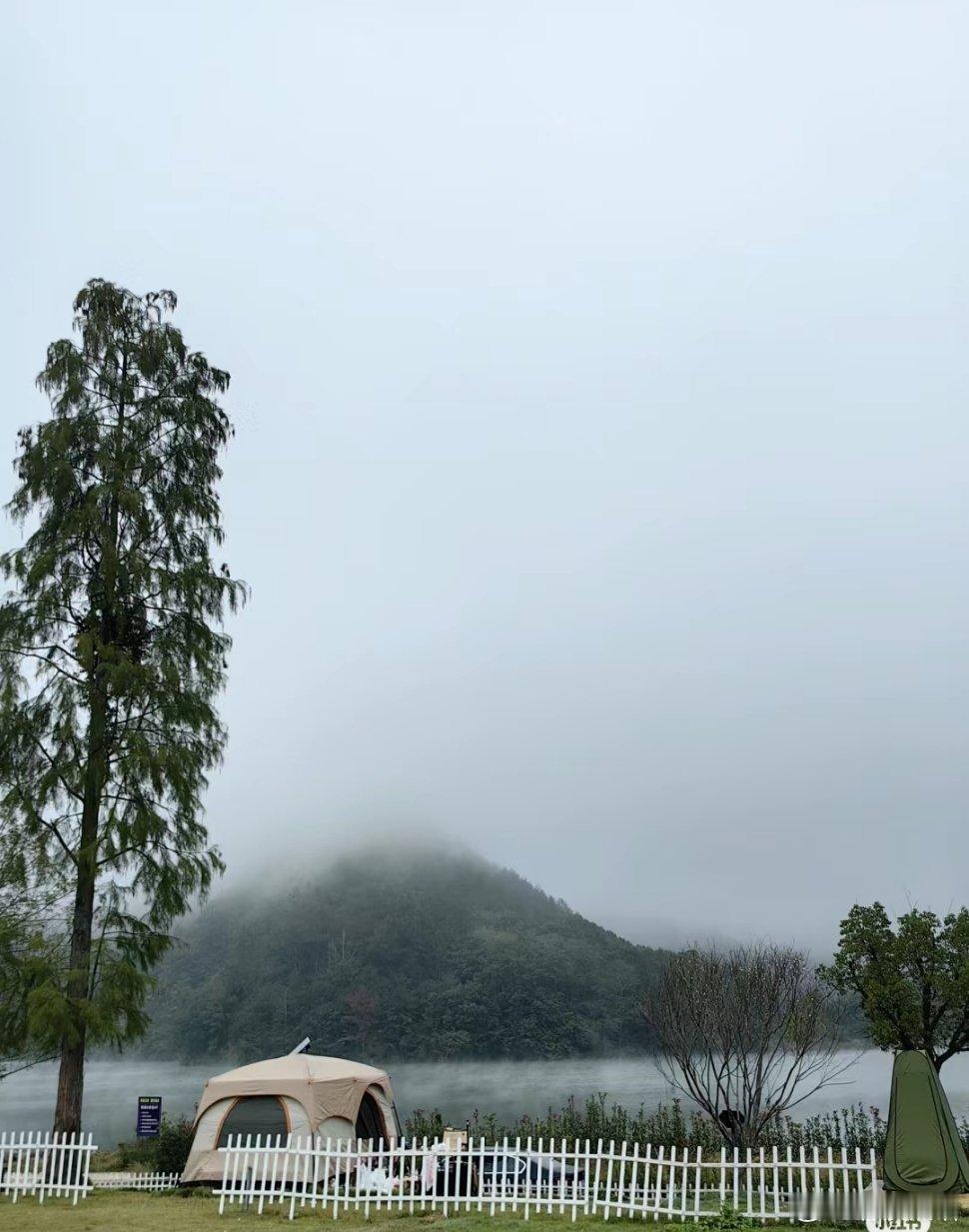坐在浓雾笼罩的水边空气凉丝丝，林子里传来清晨的鸟鸣，露营的快乐！ ​​​