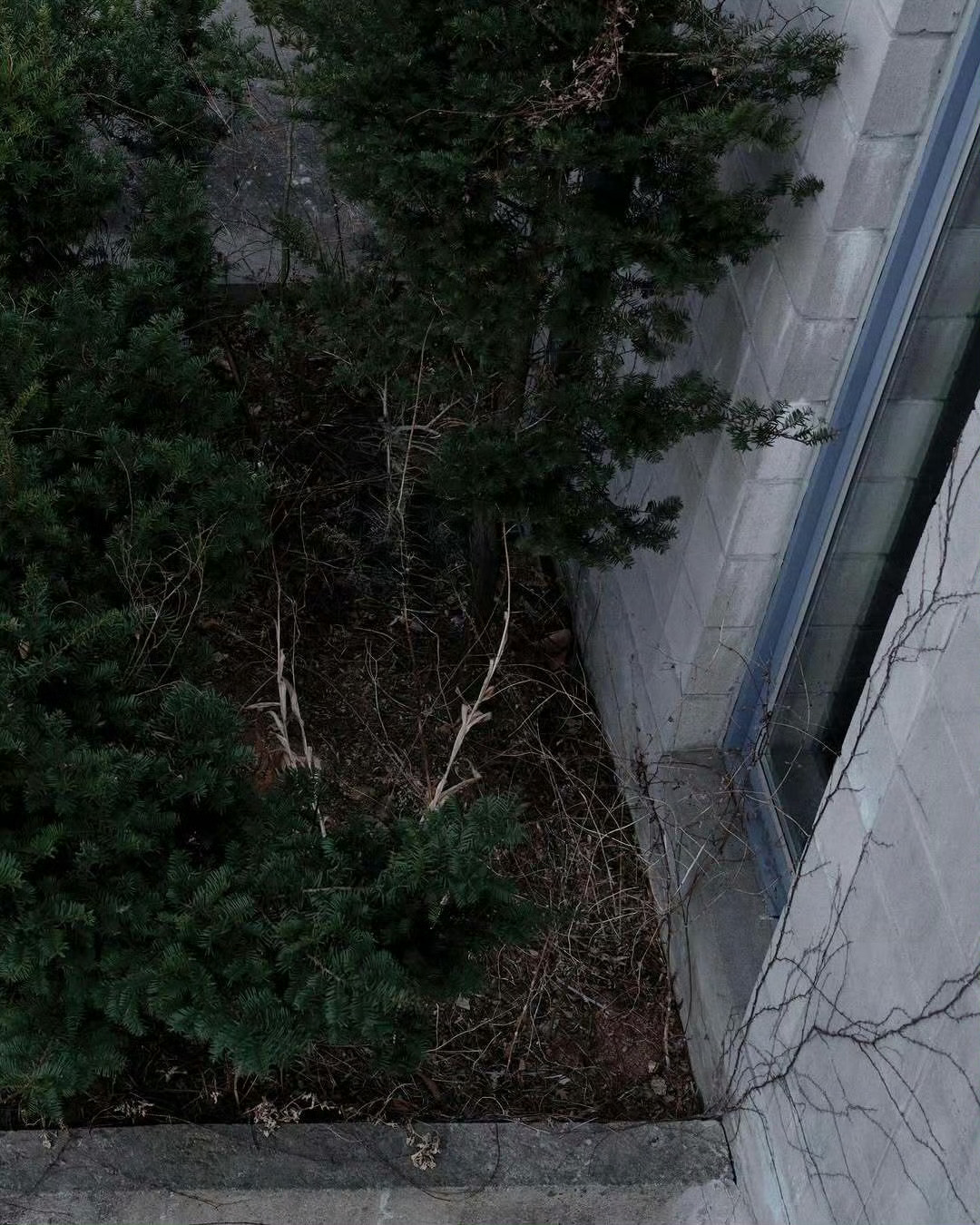 金圣喆｜Harper's BAZAAR Korea April 2026.4月刊