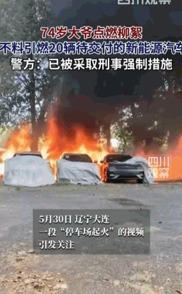 “真是坏人变老了！”辽宁大连，一位74岁的老大爷，仅仅因为觉得路边的杨絮碍了他走