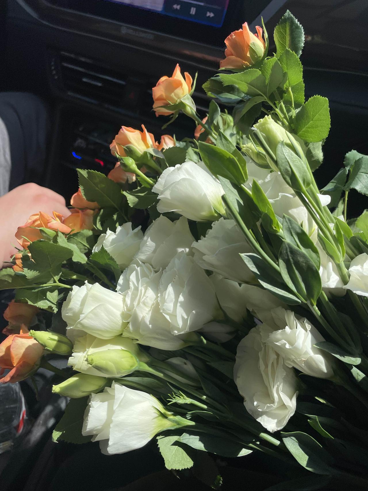 分享我这周有趣的事：这一周在头条写文章。写的我焦头烂额。每天写，每天写。今天好像