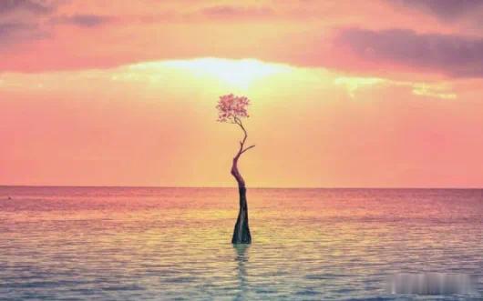 尘途处世赋·默斋主人原创骈赋序余览世路纡轸，人情渊微。进退周旋之际，多困于机牙；