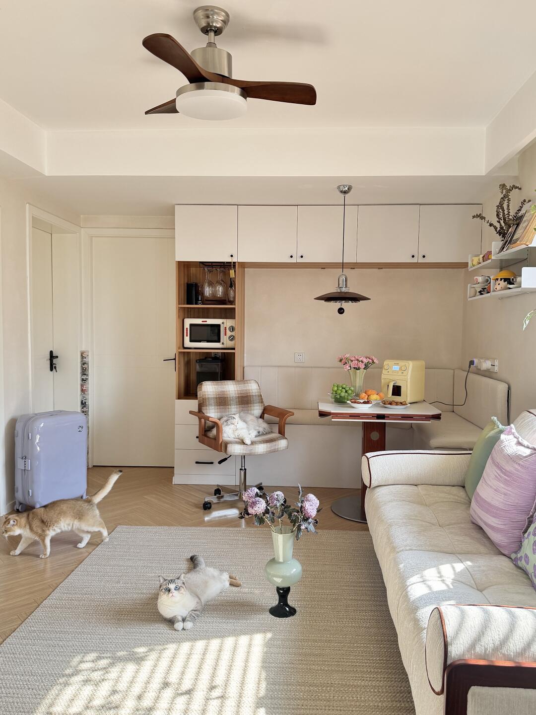 长大真好，有房🏡有猫🐈真好～