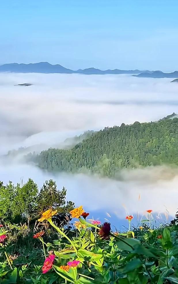 五一南京郊游福利来了，南京江宁区推出了免费旅游直通车，友友们可以关注江宁文体旅公