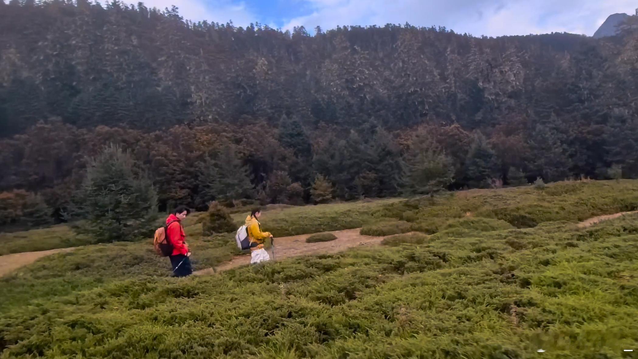 国家地理镜头下每一帧都是大片 沙丘如凝固的金浪，驼铃摇碎落日余晖，远处湖面蓝得像