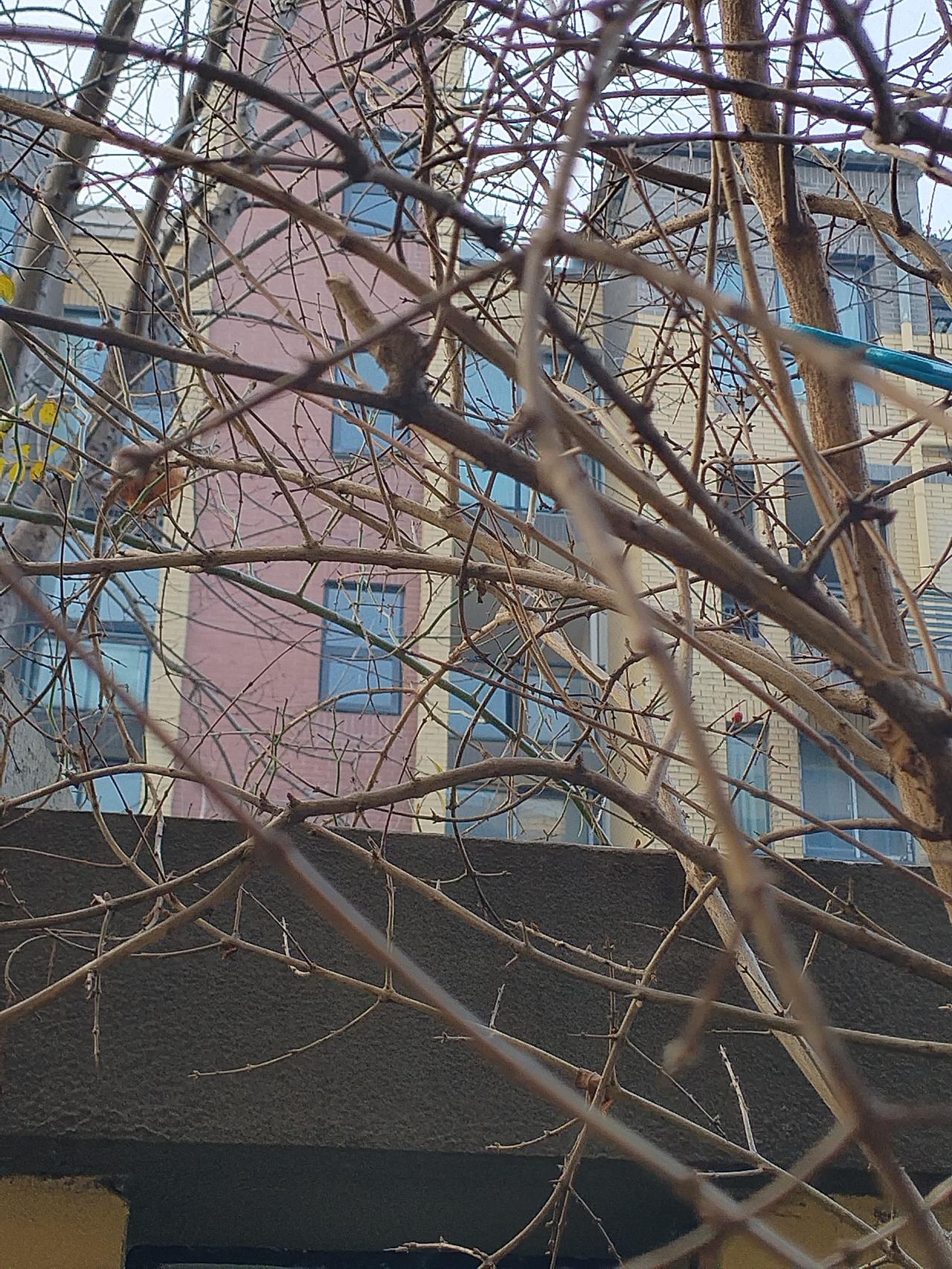 罪有应得！河南鹤壁男子因琐事杀害同居女友，恐败露再杀其儿女，连骗13万挥霍，终被