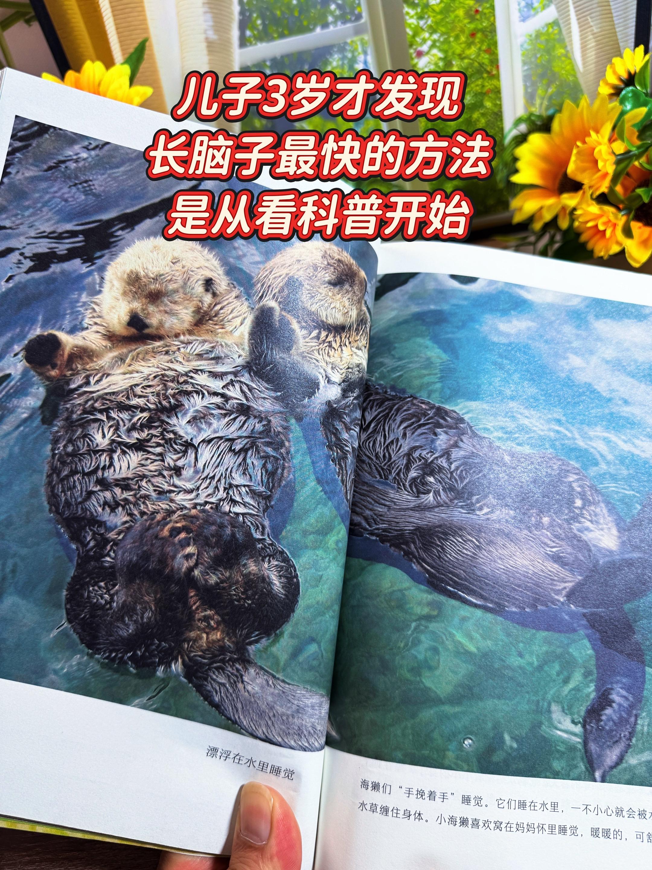 天呐❗一整本的高清大图小自然科普书❗。3岁就能看的自然百科书，真实还原...