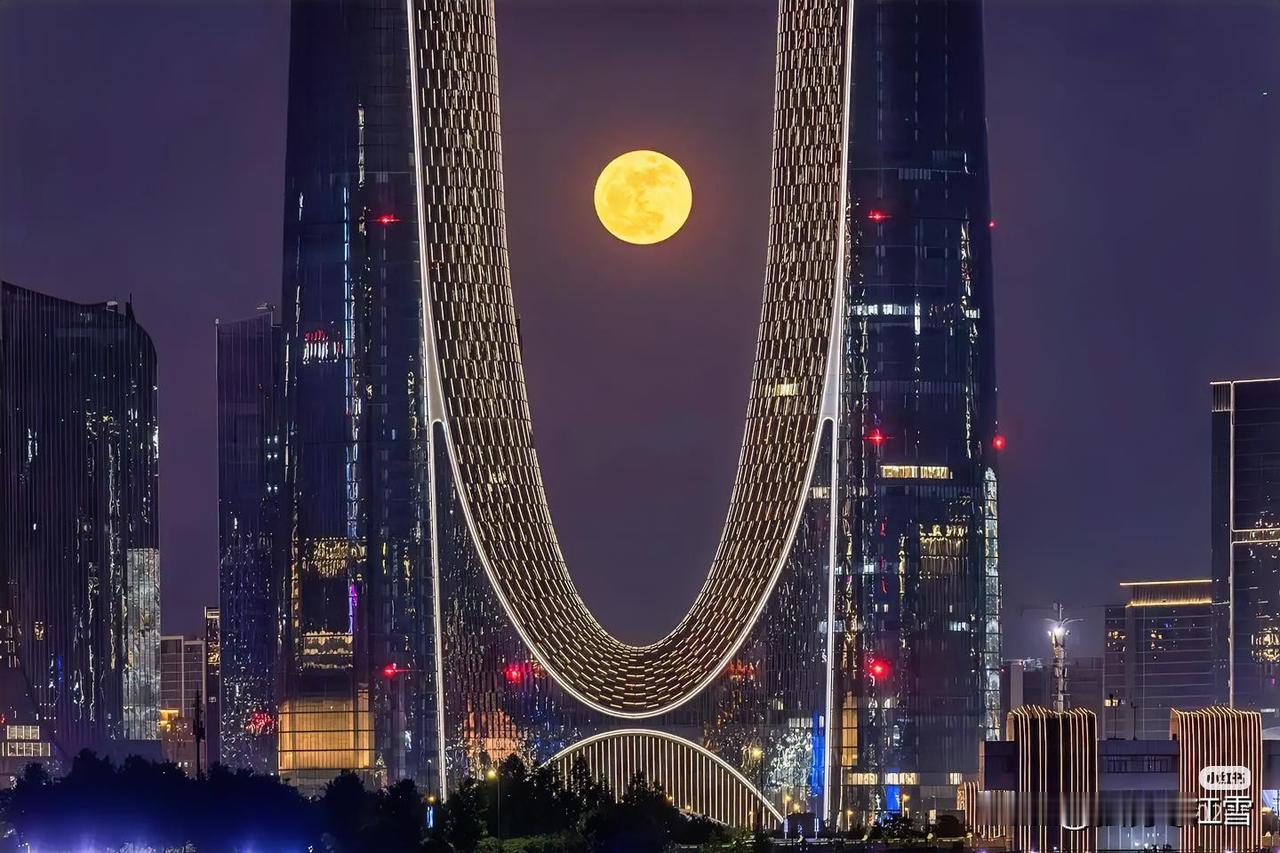 记录我的2026