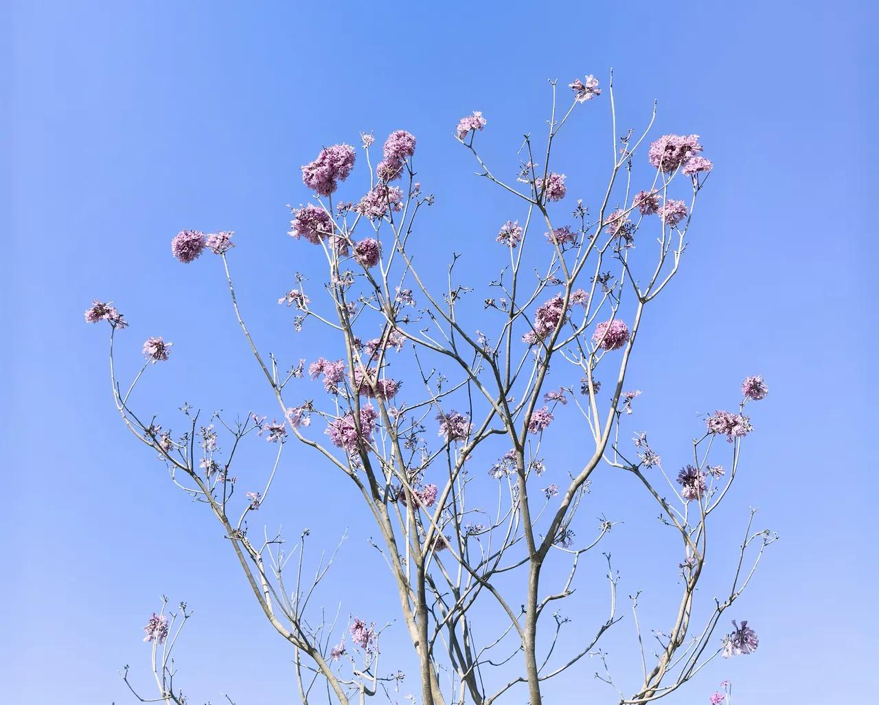 有公积金的忍住别笑
公积金马上迎来大改革，
据统计全国账户躺着10.9万亿的资金