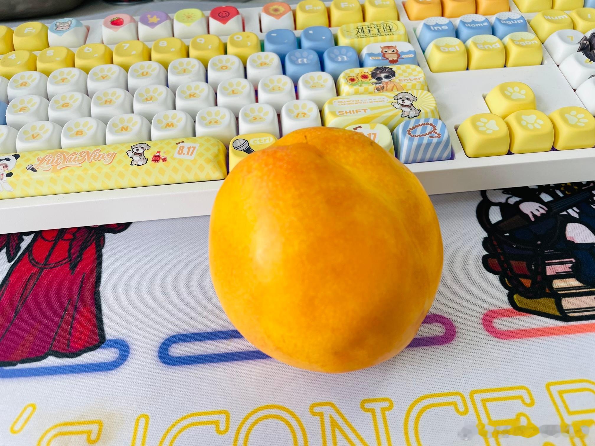 随机抽查～我在工位上啃好棚友寄来的桃子🍑你们在干嘛