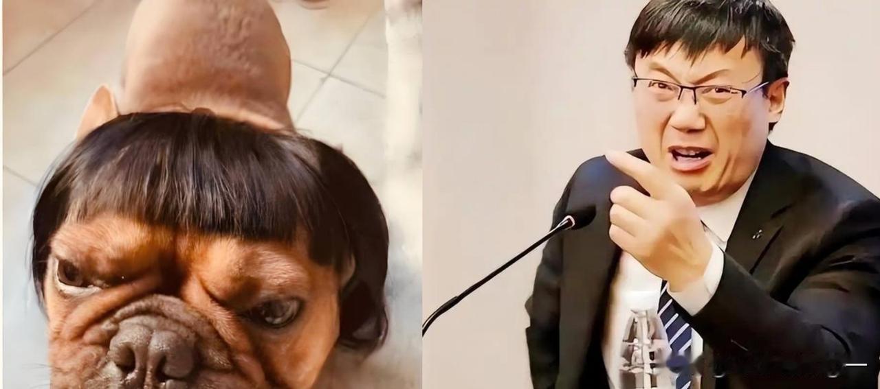 同一件蔡康永事件，汤家凤与胡锡进两种截然不同的发声，放在一起看，反差实在耐人寻味