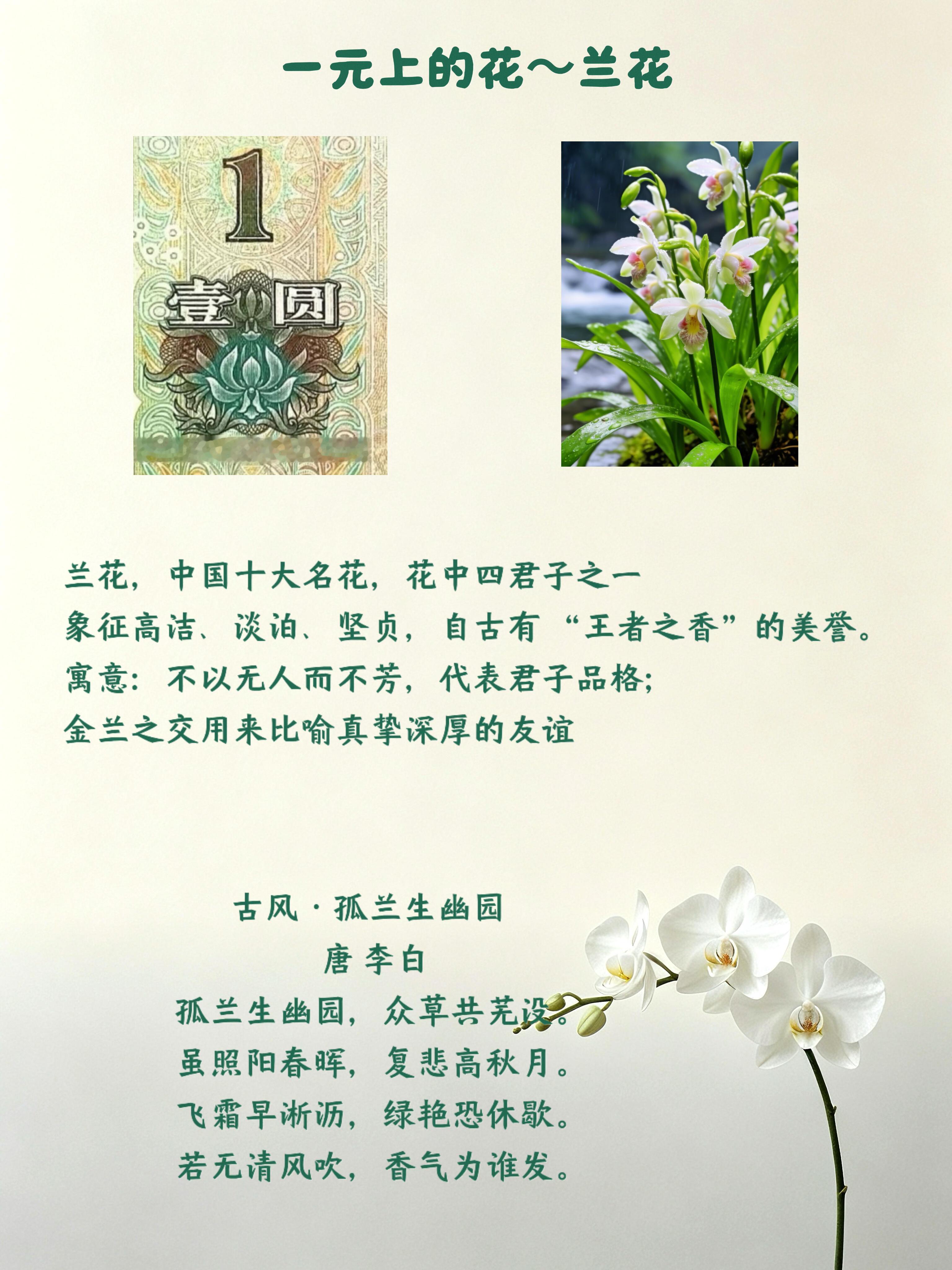 从来没观察过这上面的花 ​​​