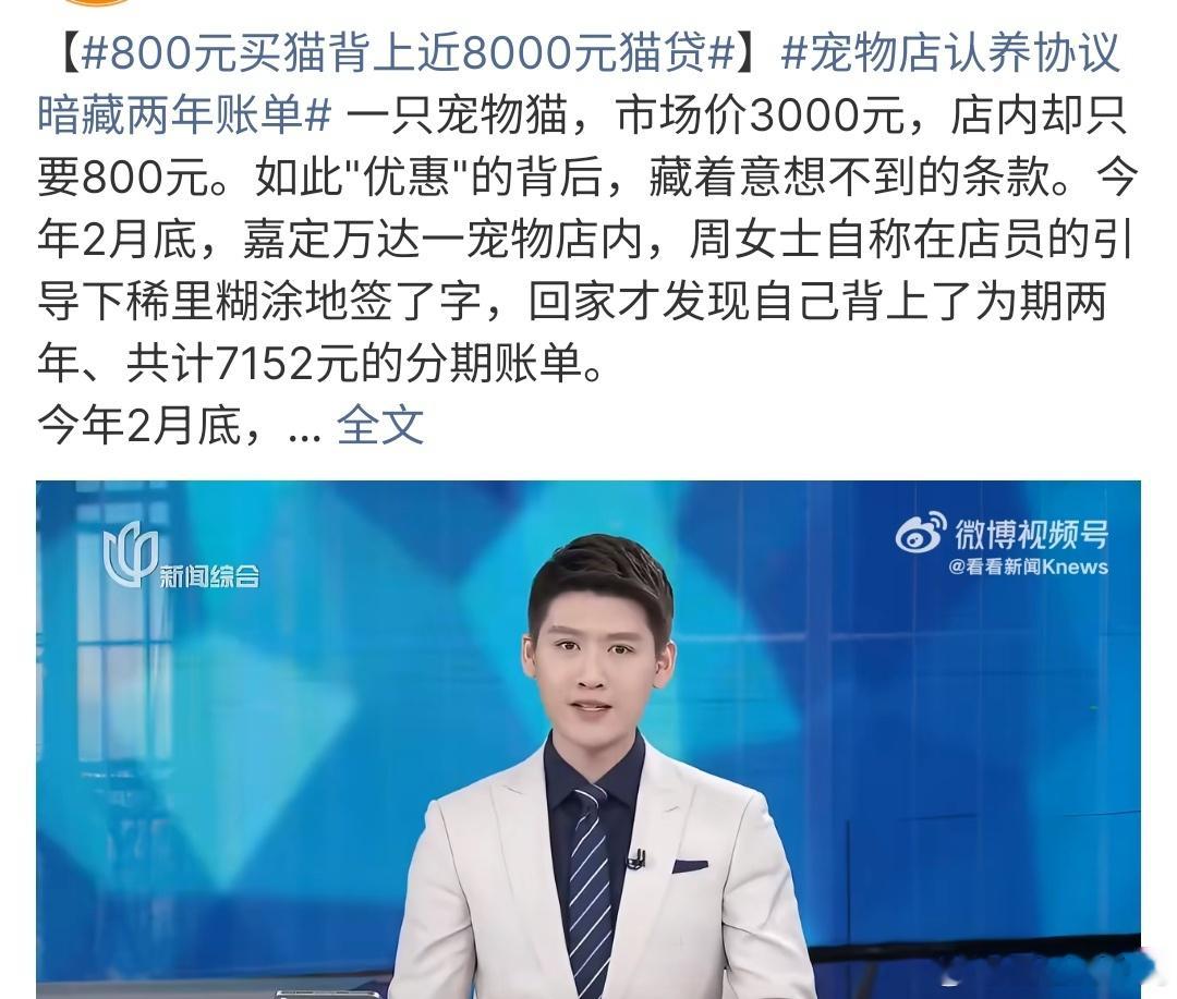 800元买猫背上近8000元猫贷真的是人性的扭曲有些人为了赚钱，一点道德底线都没