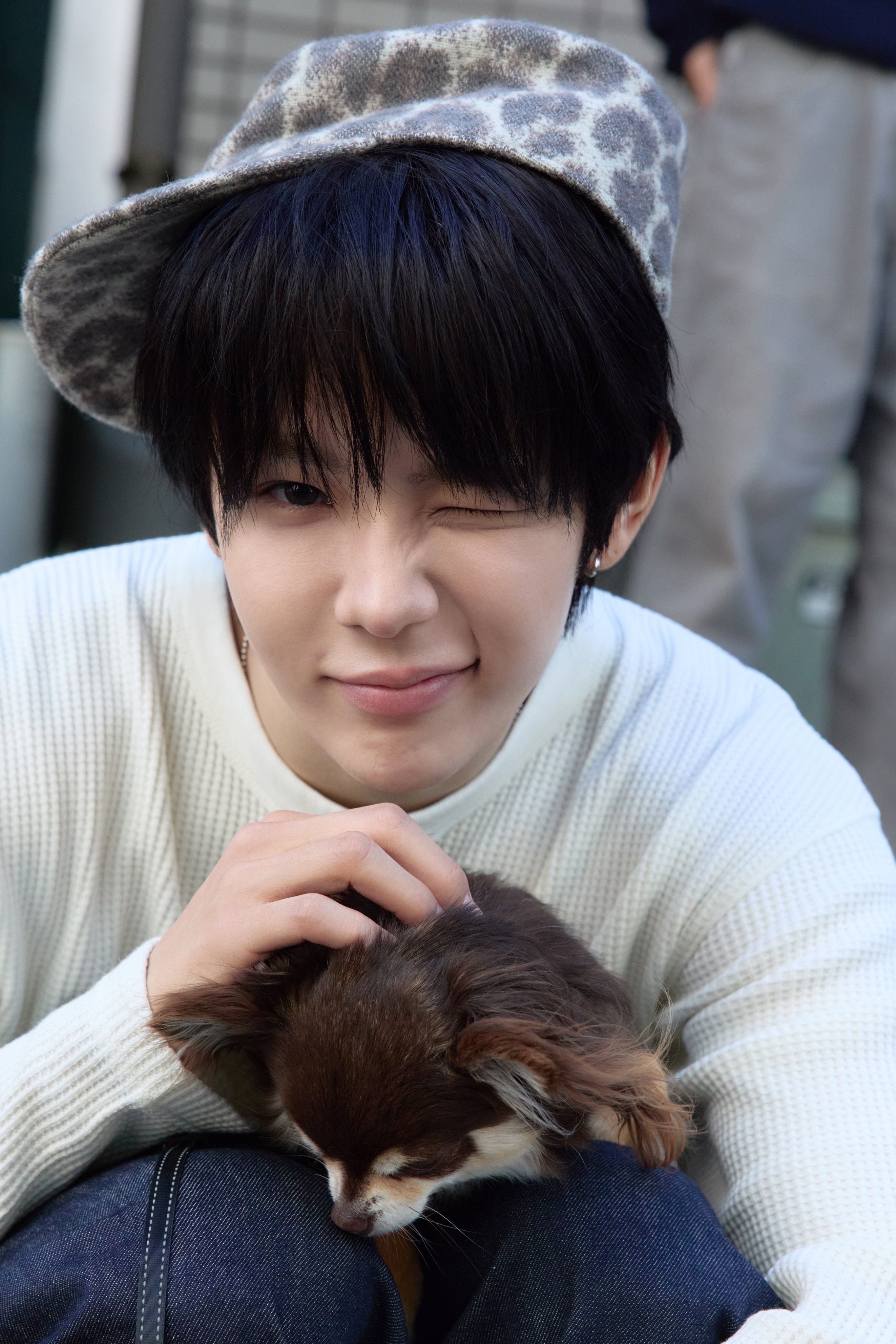 狗狗们ㅠ 🐶🐶🐾🐾🐾ㅠㅠ