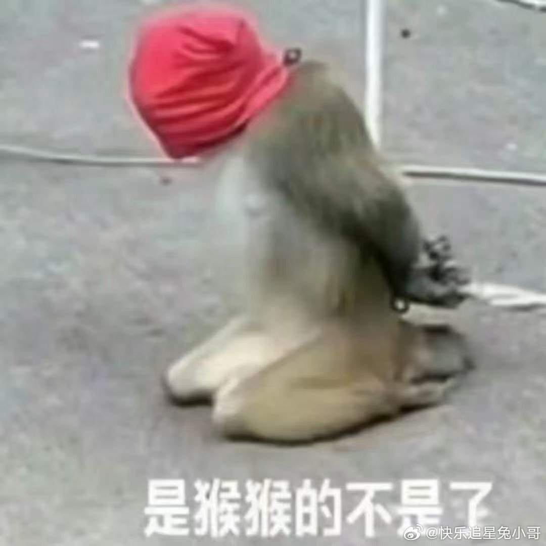 最尊重猴的剧组出现了猴子在办公室喝咖啡、打印文件的桥段脑洞炸裂，吗喽打工画面直击