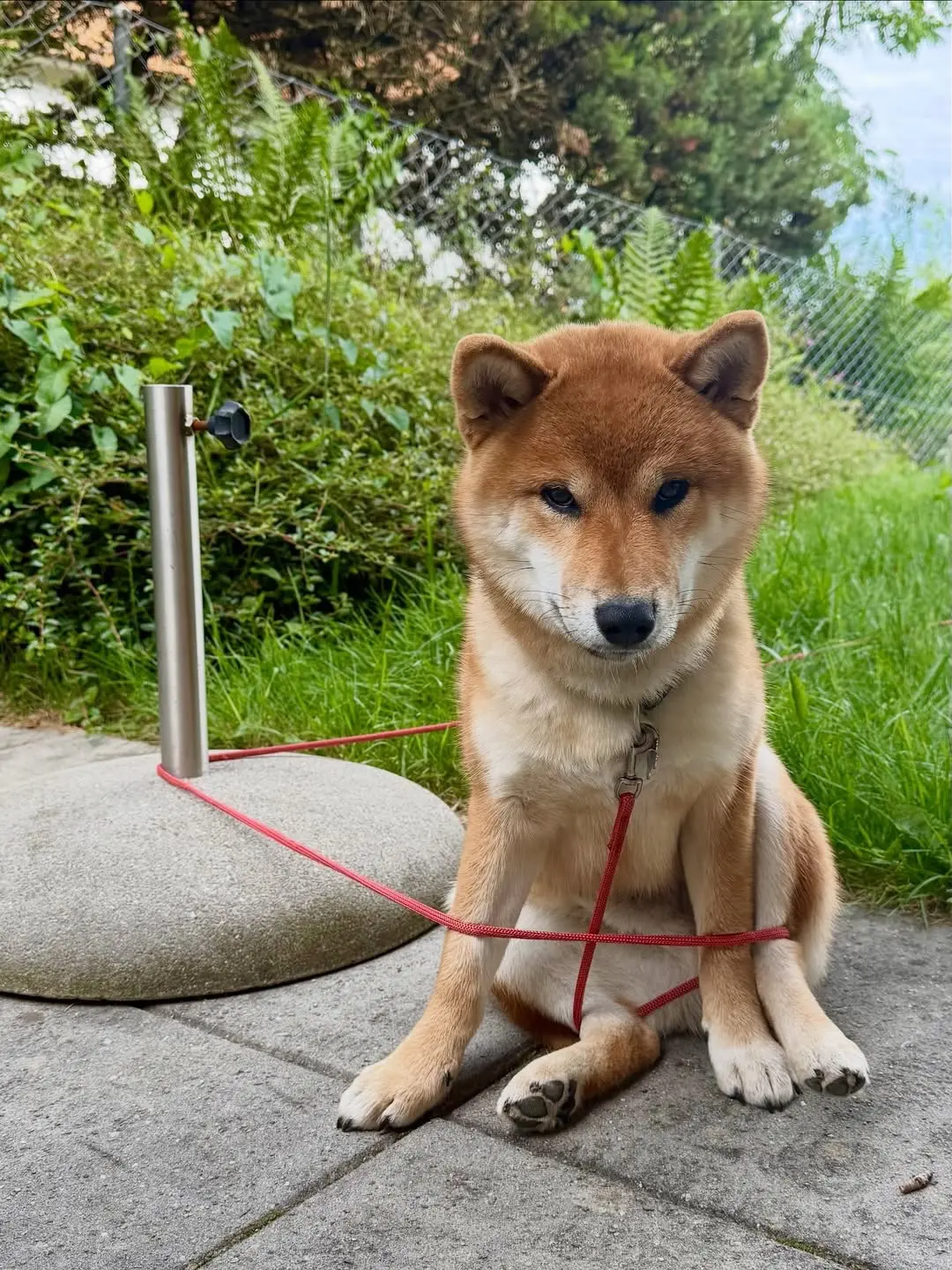 打一个成语