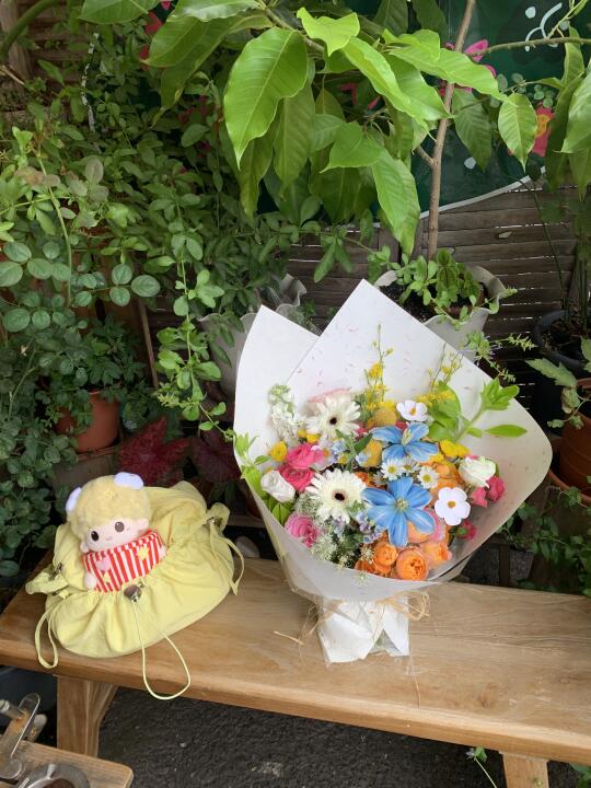可爱的玩偶、遇见可爱的花💙🩷🧡💛