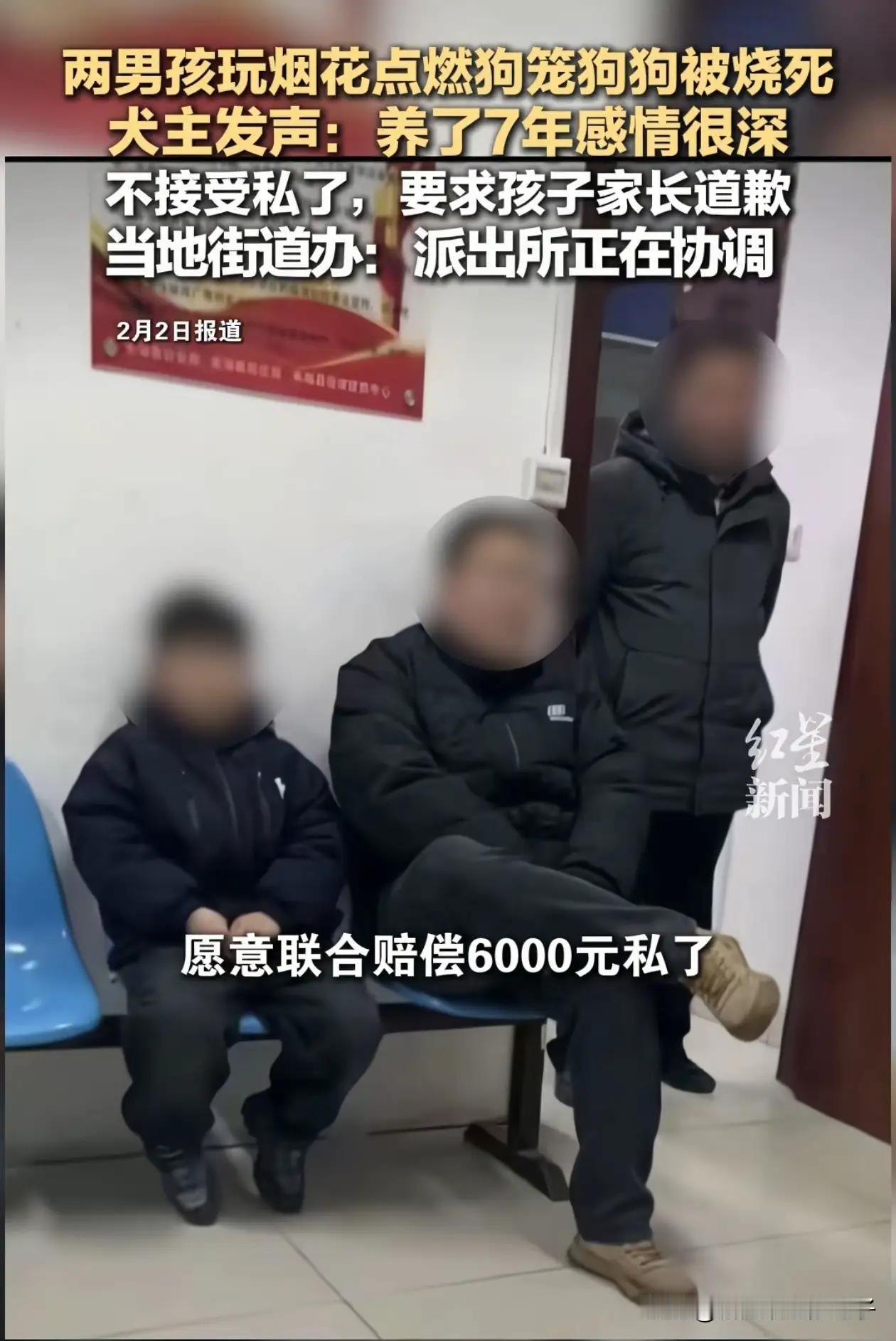 自己的儿子把人家养在笼子里的7岁的萨摩耶烧死了， 却轻飘飘的说赔6000元。
结