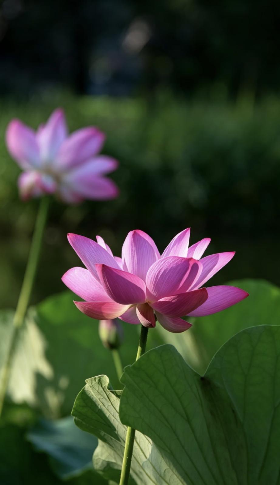 醍醐灌顶的一句话：
“记住，只要条件允许，你一定要每隔一阵子把自己从熟悉的环境里