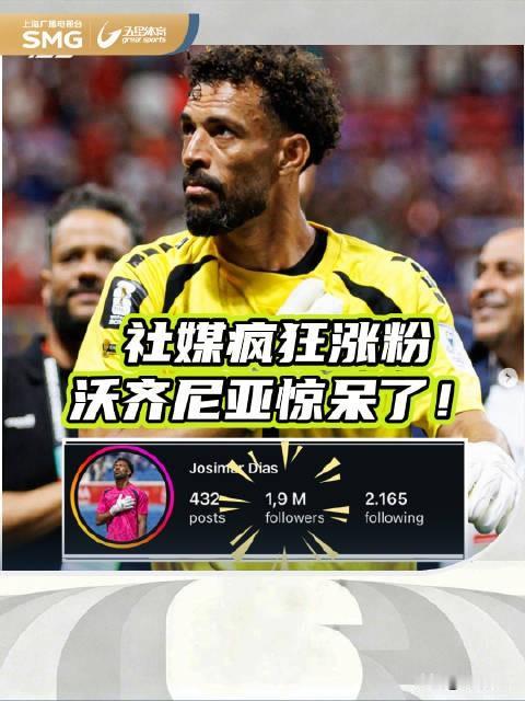 沃齐尼亚是‌反应极快、选位老道、心理超稳的“大场面型”门将‌，以‌精准预判、闪电