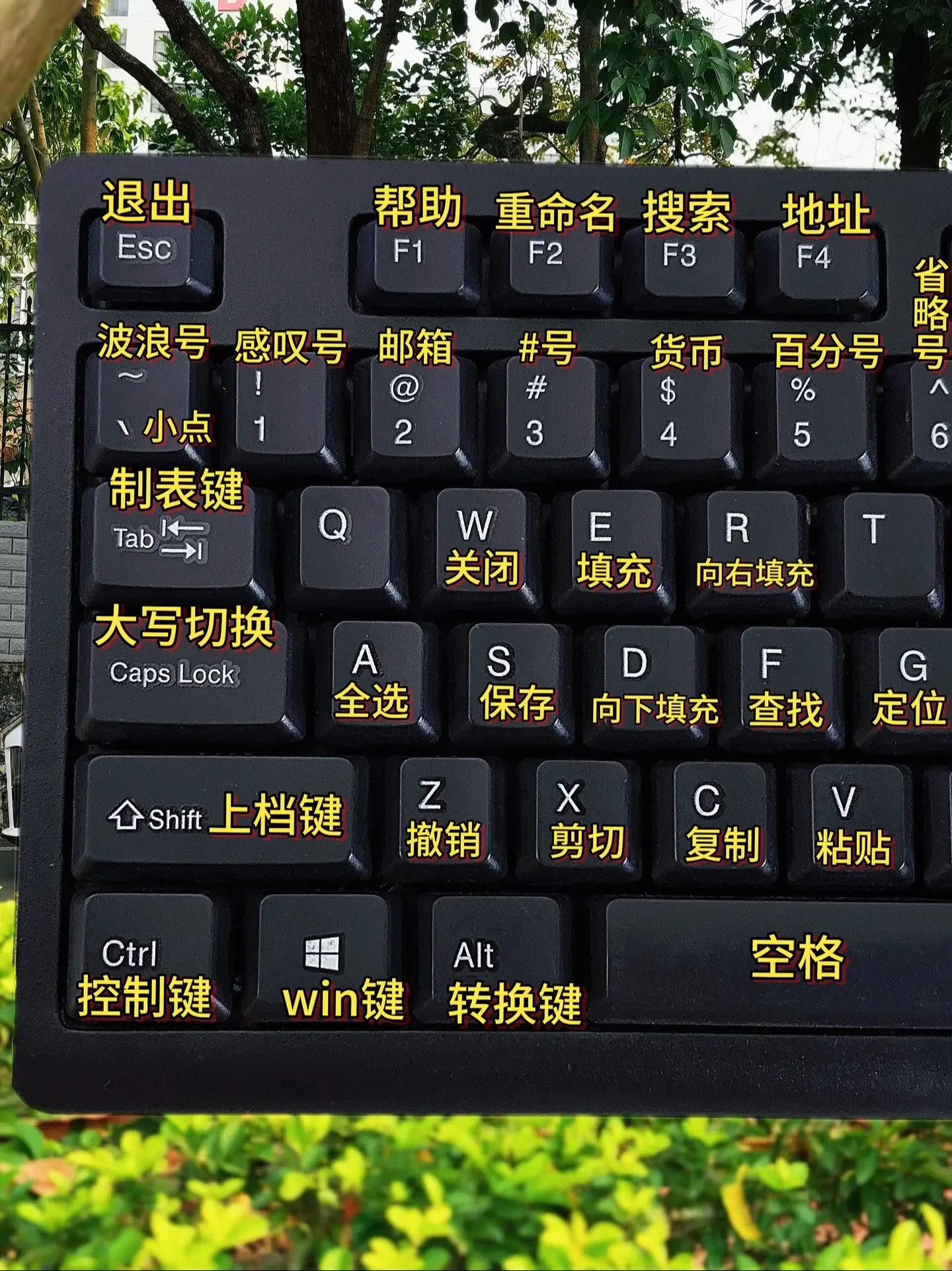 电脑小白第一次学电脑，应该从哪里学起。