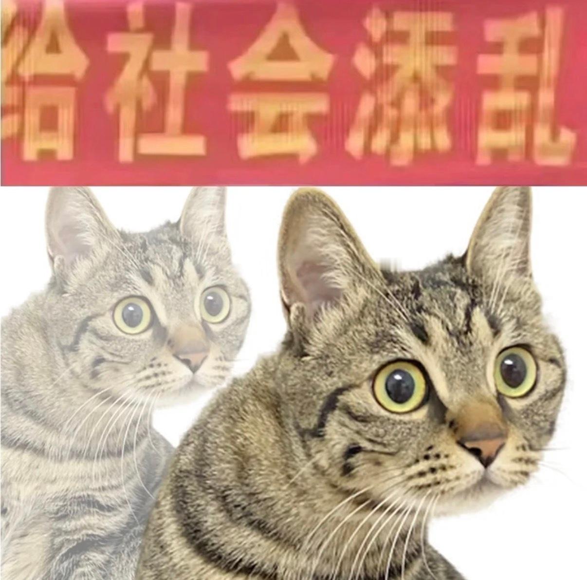 这话题词一出来我还以为出了大事，第一反应是有人遇难了，结果万幸是被困 20 小时