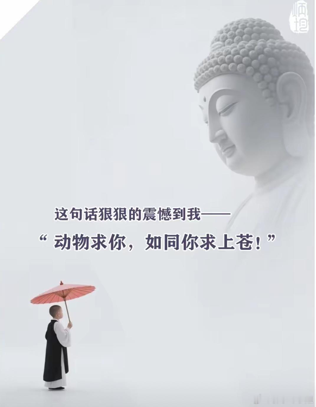 上涨途中回调可布局趋势震荡向上周五收红但走势偏弱，诱多特征明显，短线仍有再创新低