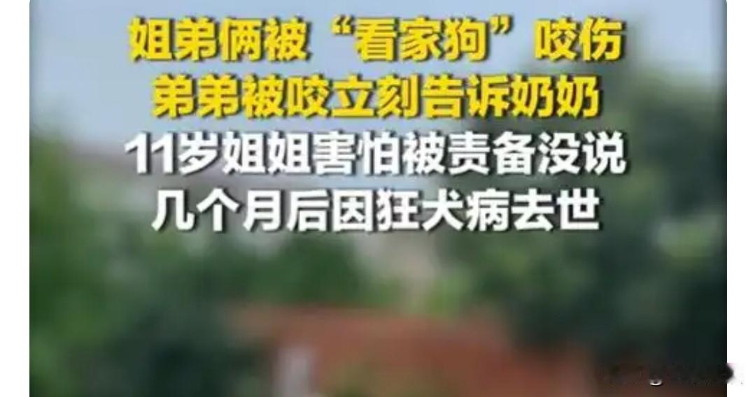 狗没叫，人没说，疫苗没打。
那天我刷到湖南疾控发的通报，就几行字，没视频，也没配