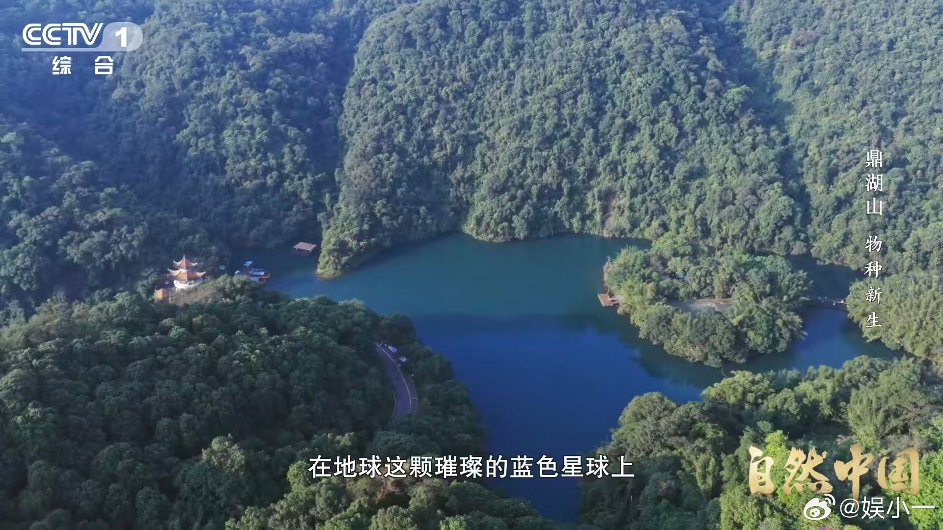 土壤的土腥味从何而来以后再闻到土腥味就懂了🤔这不是普通的味道，而是土壤充满生机