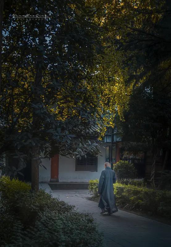 《问佛寄怀》
枫林红叶

问佛修途远且茫，

人心莫测福难详。

千秋盛赞孝为上