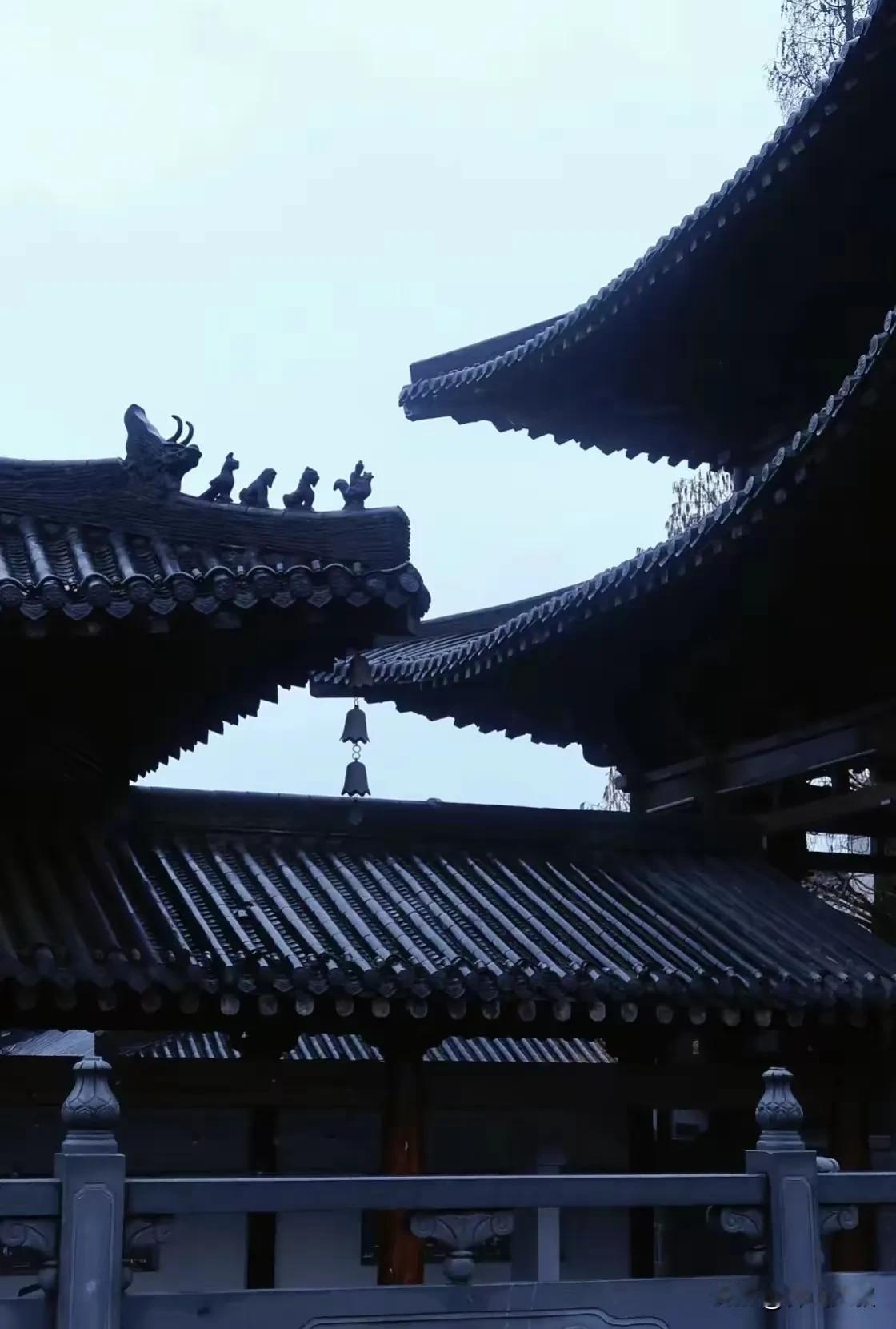 最锋利的刀刃藏在你的意志里，越磨砺越能劈开命运的枷锁！