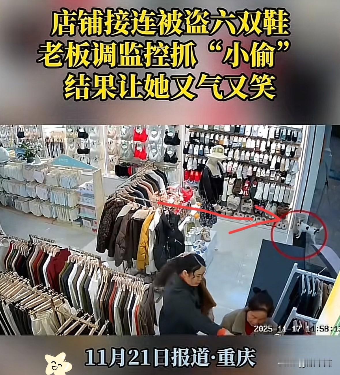重庆，一家店铺两天丢了6双毛拖鞋，老板娘还以为是有人顺手牵羊，气得查监控，结果看