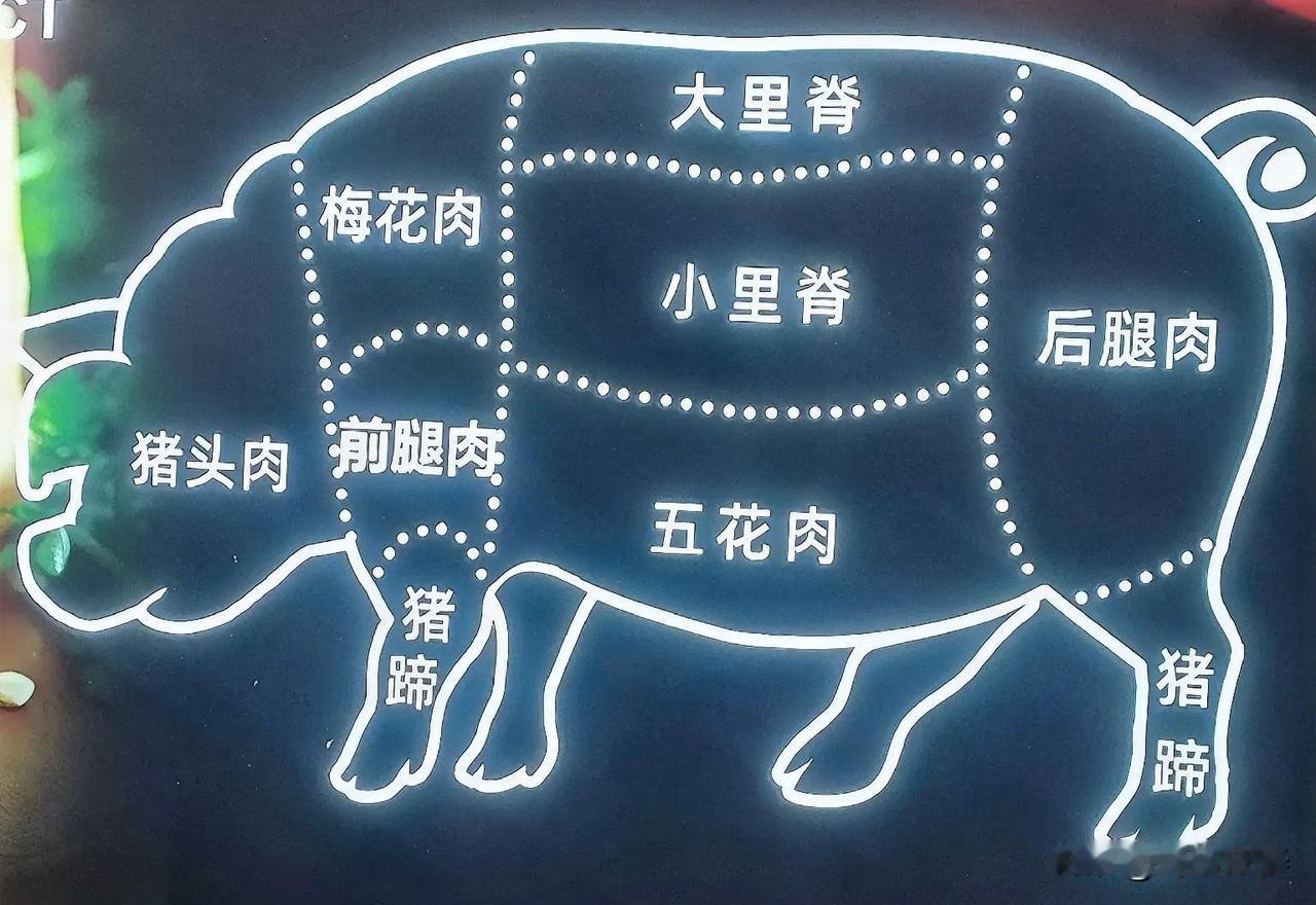 超市拍到一张猪肉分布图，终于分清梅花肉、里脊了！

坐标保定。逛超市发现这张猪肉