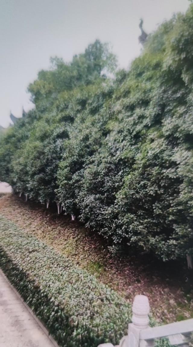 一位大律师曾说:“110不是万能的，如果你家里无权无势，一定要记住这5个电话，真