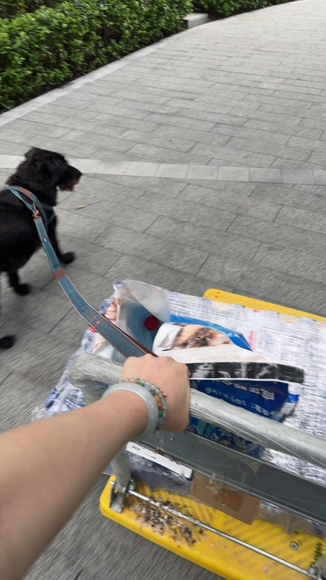 傍晚到家约上大哥大姐去挪了猫屋，垫了防潮垫，这下刺猬家族就没办法进去大小拉了，在