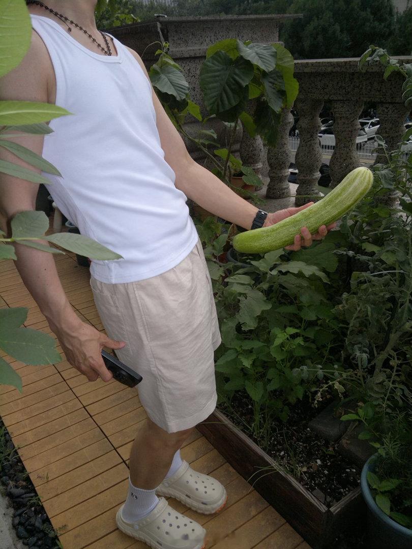 你爱吃黄瓜吗？ 北京·百子湾