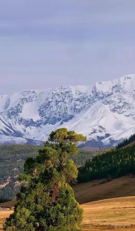 雪山之巅，天地一片苍茫。欣赏每一处风景，享受每一天生活