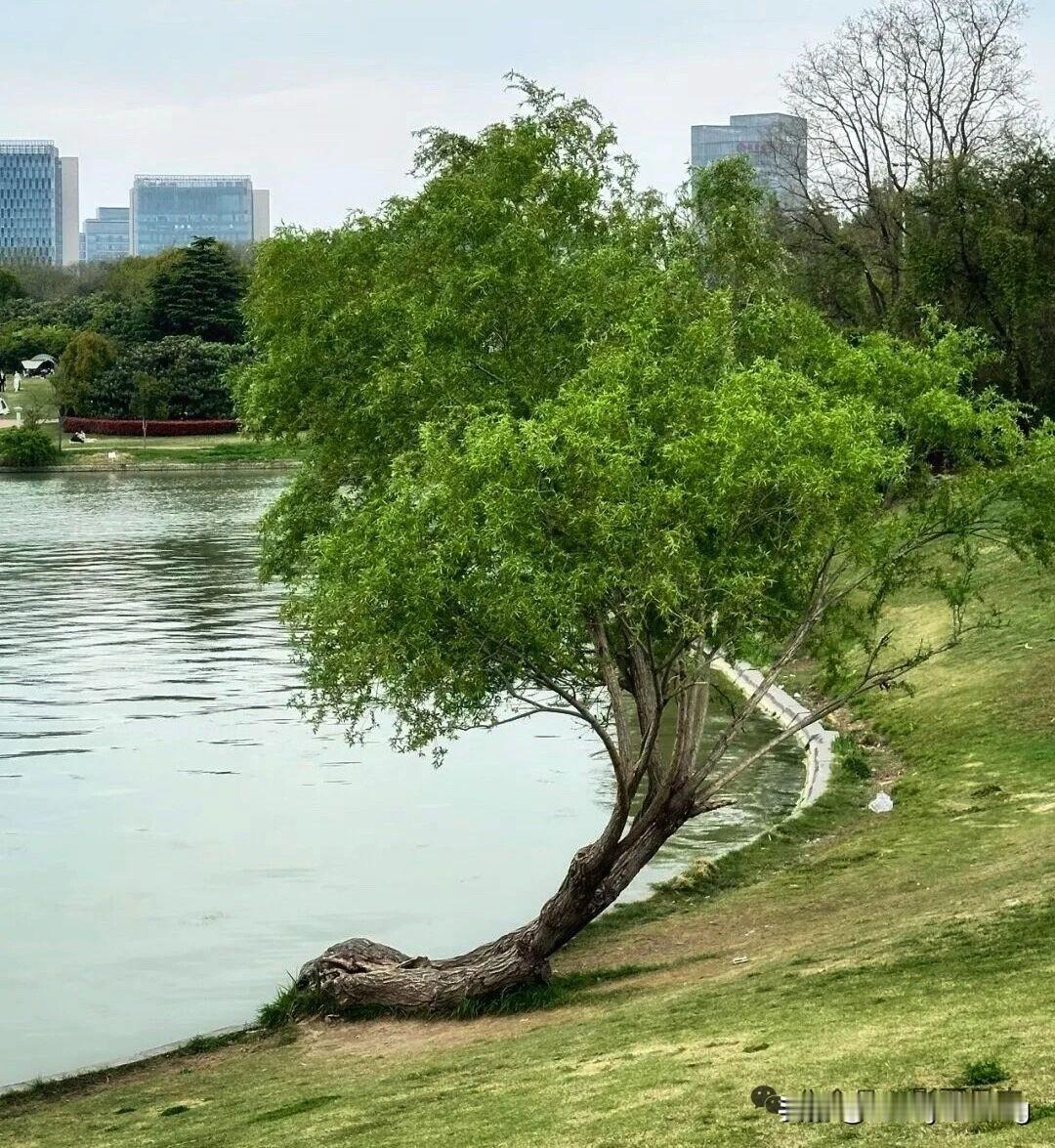 中年清醒的活法
 
1. 认知不同，不必争辩。
2. 低调做人，高调做事，
自己