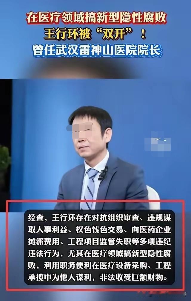 抗疫烽火中走出的战斗英雄，蜕变成了罪孽深重的腐败分子。人前人后的两面性在他身上完