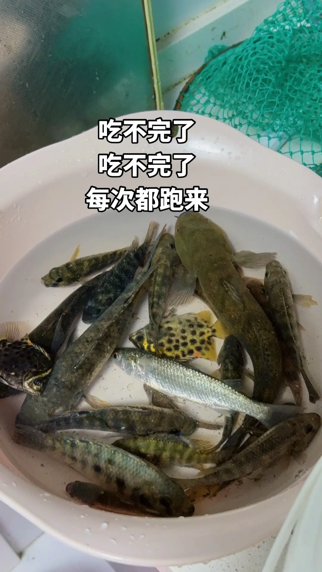 都不懂什么那么多
