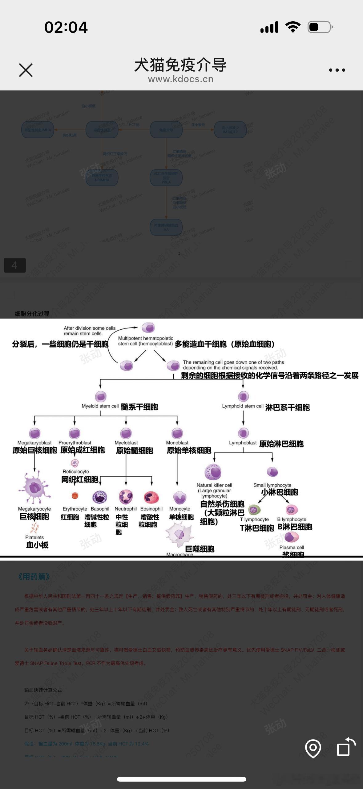 我觉得黄金应该还是可以抢救一下的。我一定要找到救它的方法！这个医生给它下了病危通