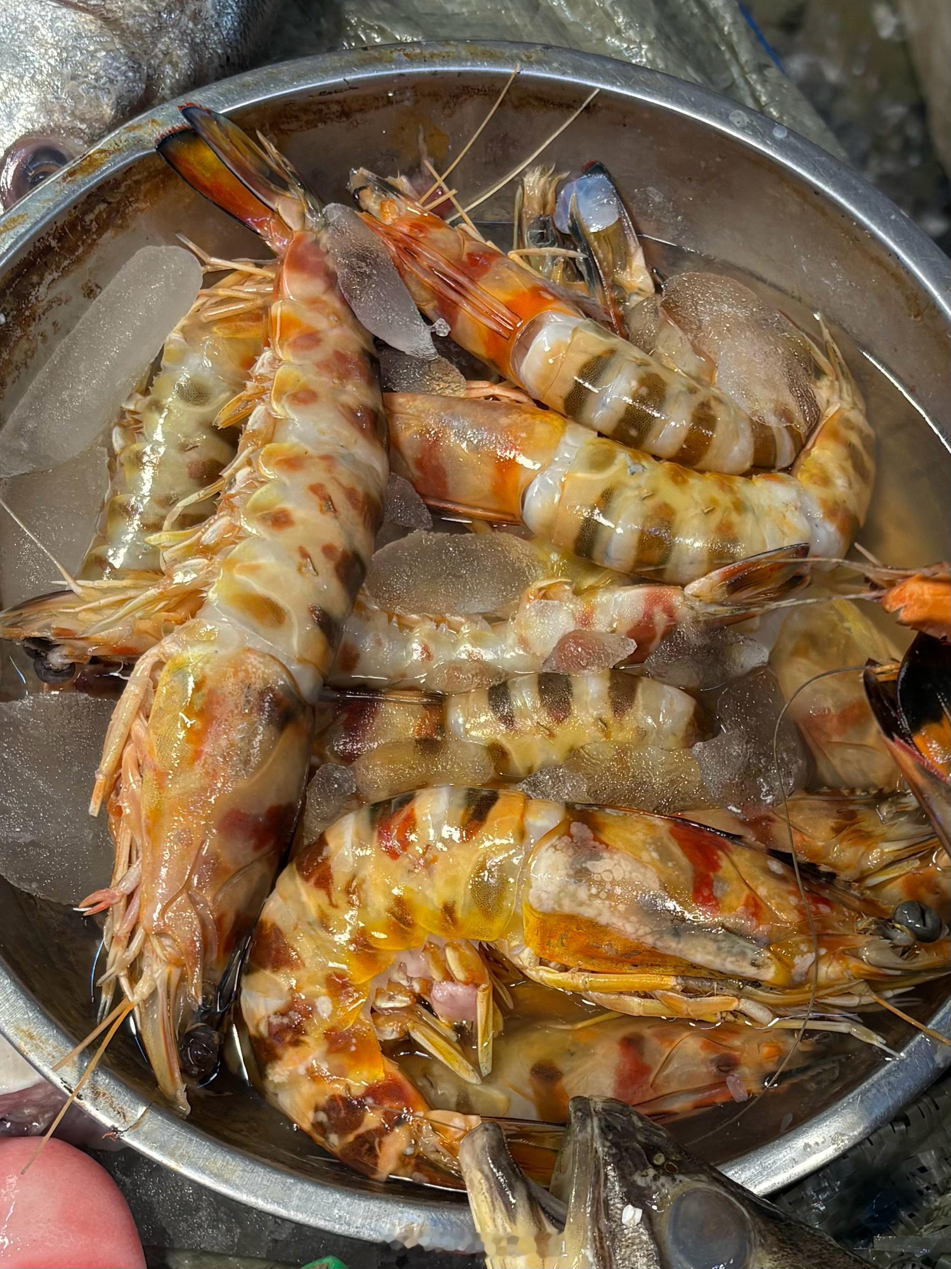 早市一隅，遇到一种进口对虾：Penaeus kerathurus，没有正式中文名
