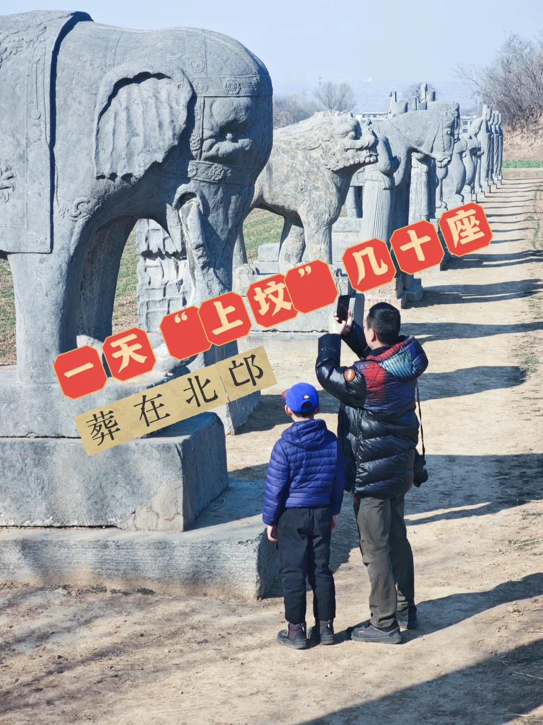 河南游记|在洛阳玩1天能打卡多少座古墓？