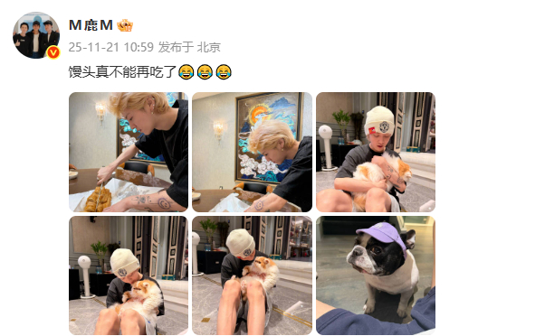 又来晒猫猫照啦鹿晗 