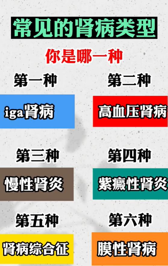 肾病分 6 大类型，看看你属于哪一种？