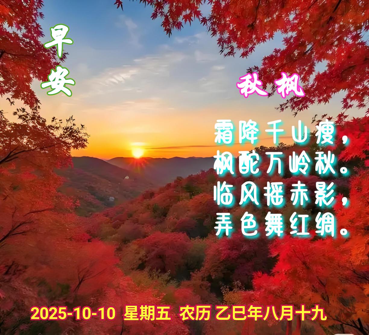 秋枫