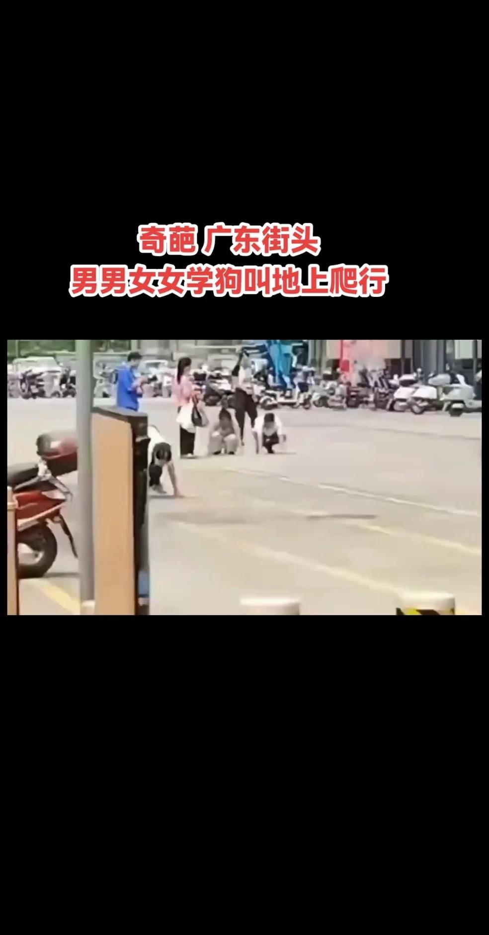 广东热点 惠州街头多人爬行学狗叫 社区：正在排查是哪家公司】社区回应多人当街爬行