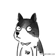 有朋友在问，为什么谈判会提到TIKTOK？其实你可以联想到前天一件事，就是我国对