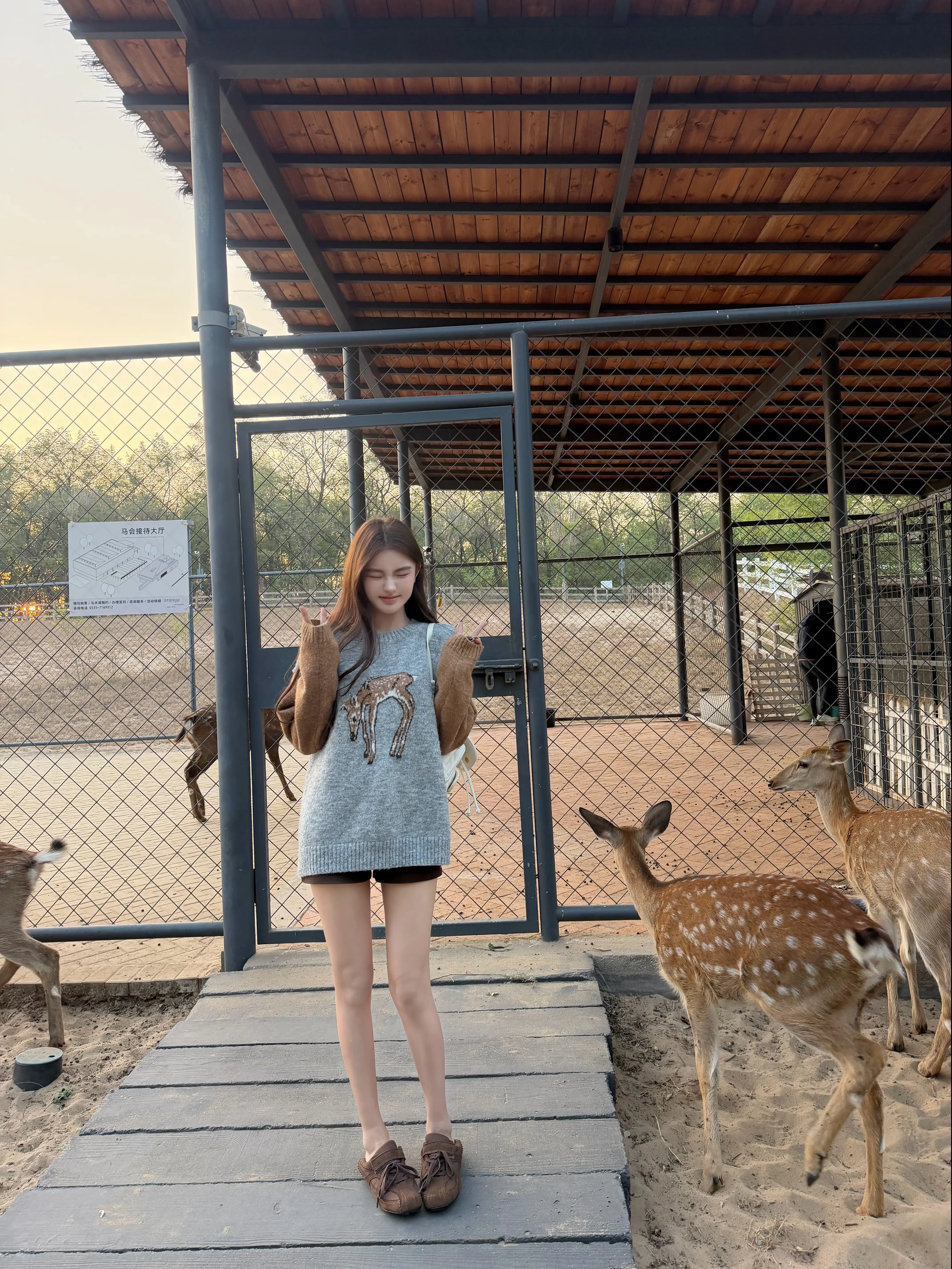 小鹿乱撞🦌。