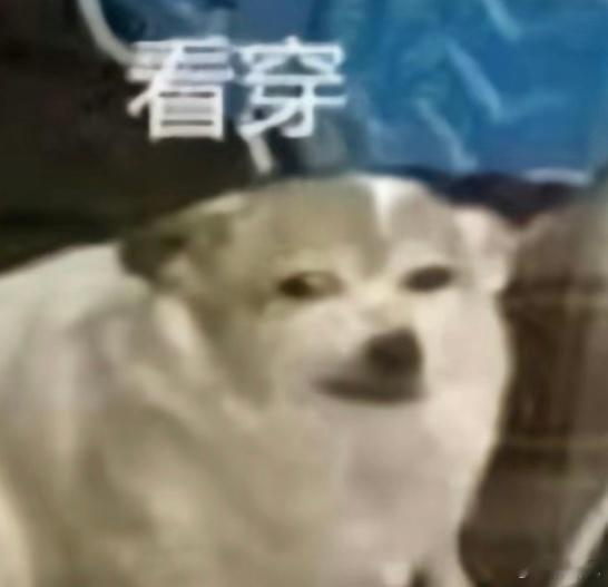 展信佳 九个字总结⬇️文化不详，但心地善良哈哈哈[允悲]  朱志鑫[超话]  