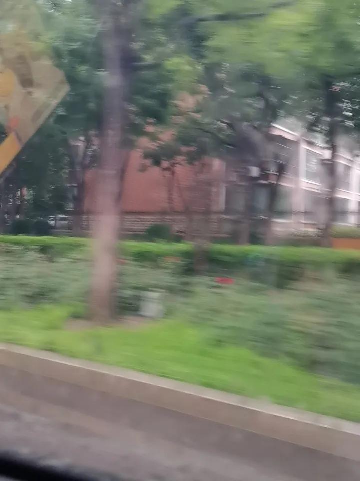 今日天气记录我一直觉得，周末下雨算是一件很倒霉的事情。出来玩都湿乎乎的，小孩更不